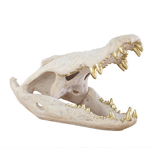 Crocodile Skull Stone Gold - BodyFactory