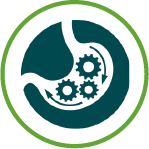 Prebiotic Gut Health