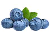 Organic Blueberries