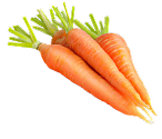 Organic Carrots