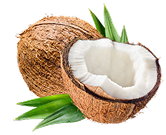 Organic Coconut