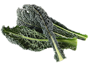 Organic Kale