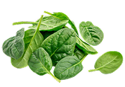 Organic Spinach