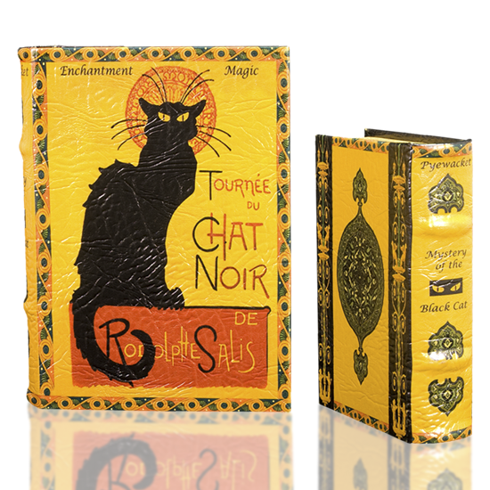 Book Set Cat Noir - BodyFactory