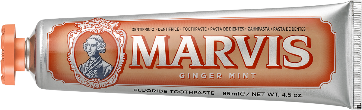 Toothpaste Ginger Mint 25ml - BodyFactory